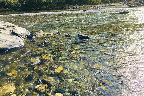 Camping in Rishikesh