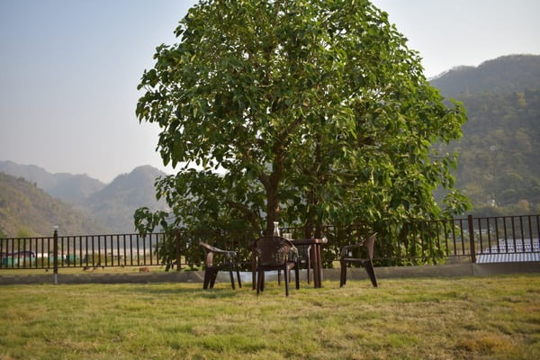 Camping in Rishikesh