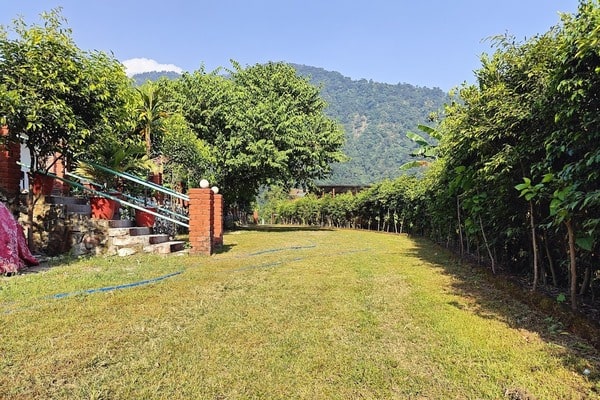 Jungle Camp in Rishikesh