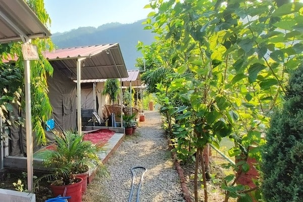 Jungle Camp in Rishikesh